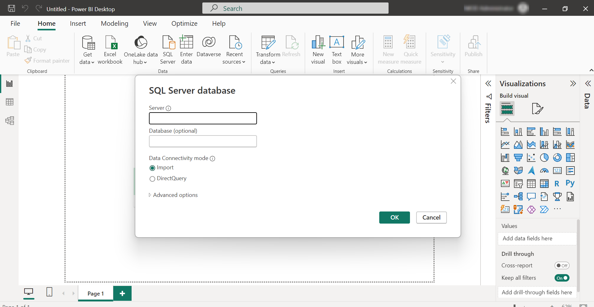 SQL Server database window.