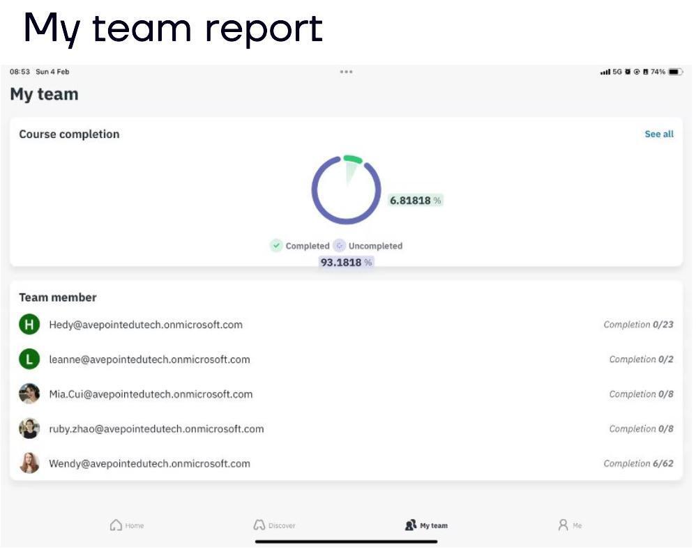 Curricula Team Report