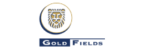 Gold Fields